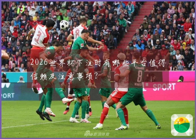 2026世界杯下注时有哪些平台值得信赖及注意事项？
