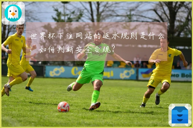 世界杯下注网站的返水规则是什么，如何判断安全合规？