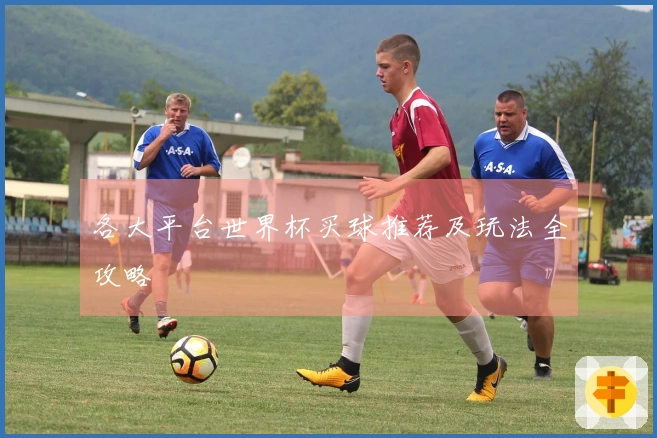 各大平台世界杯买球推荐及玩法全攻略