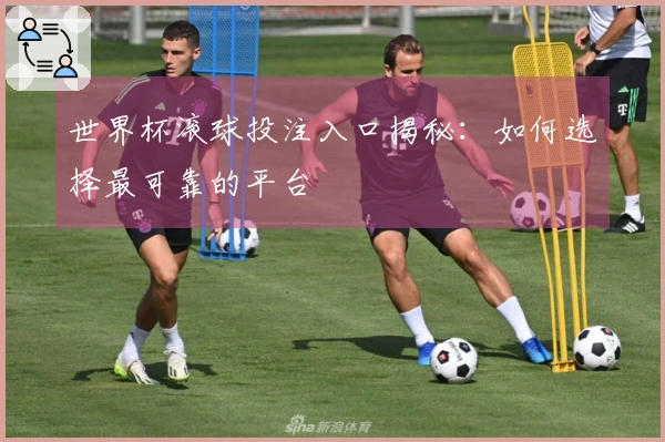 世界杯滚球投注入口揭秘：如何选择最可靠的平台
