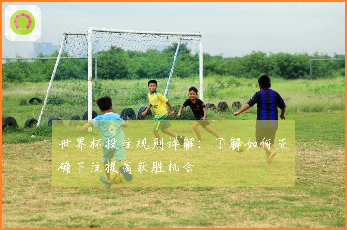 世界杯投注规则详解:了解如何正确下注提高获胜机会