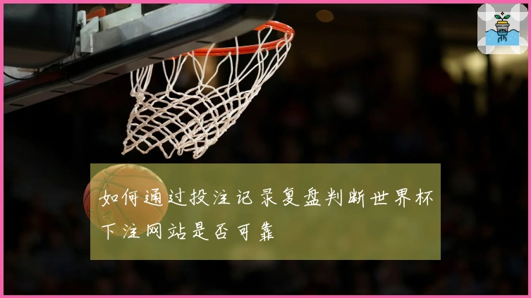 如何通过投注记录复盘判断世界杯下注网站是否可靠
