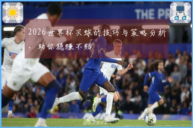 2026世界杯买球的技巧与策略分析，助你稳赚不赔