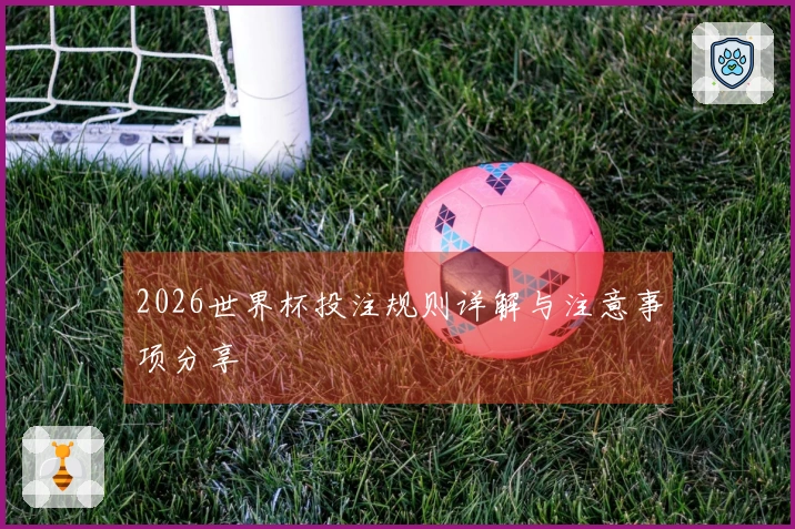 2026世界杯投注规则详解与注意事项分享