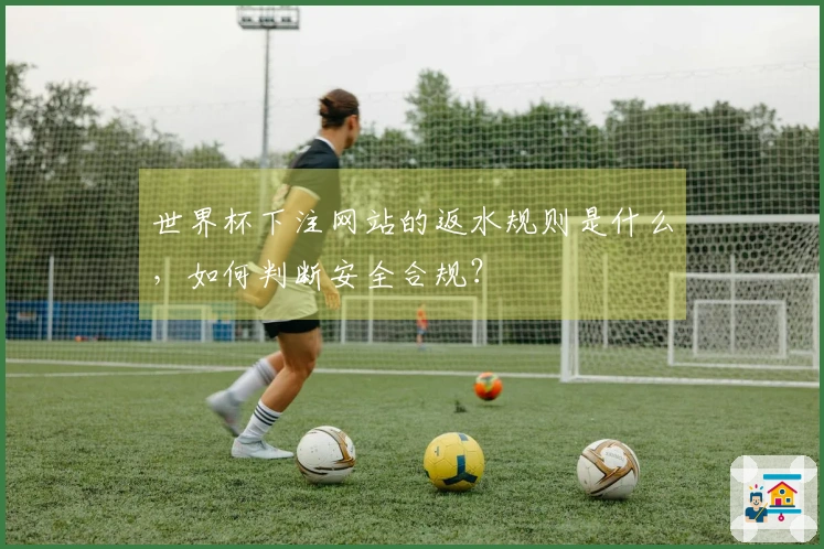 世界杯下注网站的返水规则是什么，如何判断安全合规？