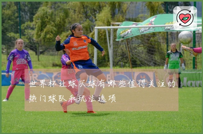 世界杯让球买球有哪些值得关注的热门球队和玩法选项