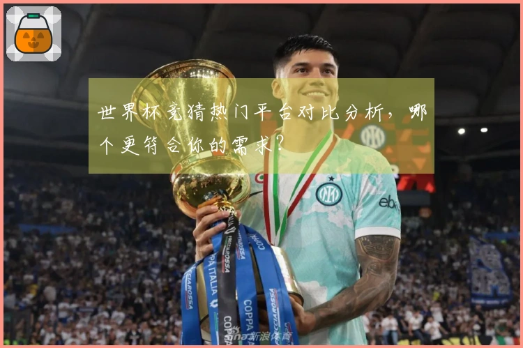 世界杯竞猜热门平台对比分析，哪个更符合你的需求？