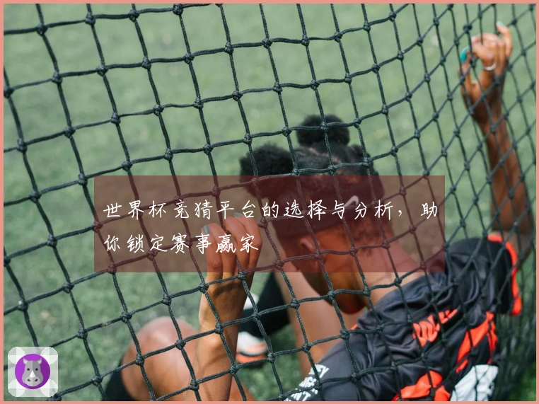 世界杯竞猜平台的选择与分析，助你锁定赛事赢家