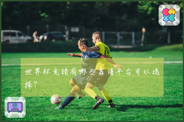 世界杯竞猜有哪些靠谱平台可以选择？