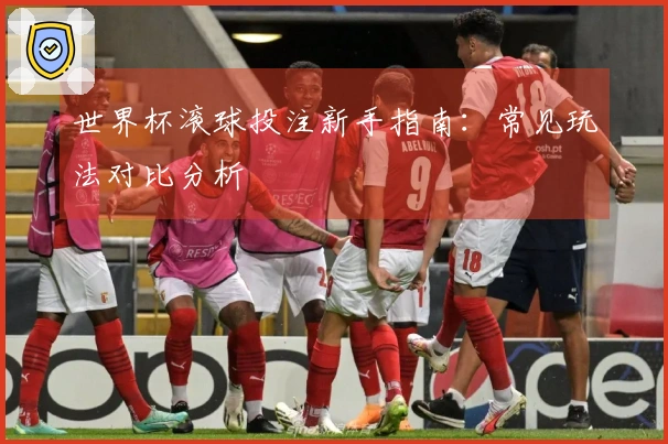 世界杯滚球投注新手指南：常见玩法对比分析