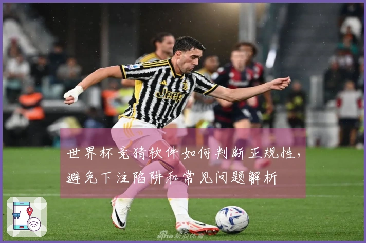 世界杯竞猜软件如何判断正规性，避免下注陷阱和常见问题解析