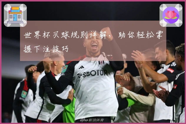 世界杯买球规则详解，助你轻松掌握下注技巧