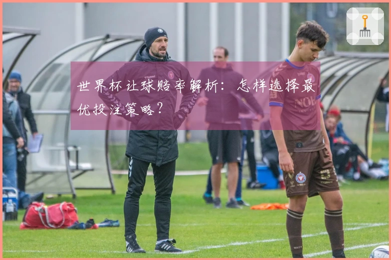世界杯让球赔率解析：怎样选择最优投注策略？