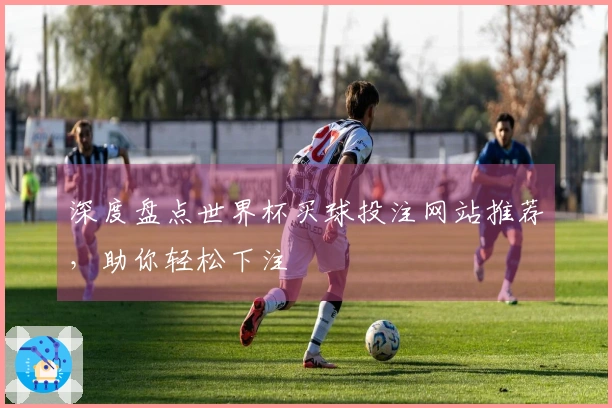 深度盘点世界杯买球投注网站推荐,助你轻松下注