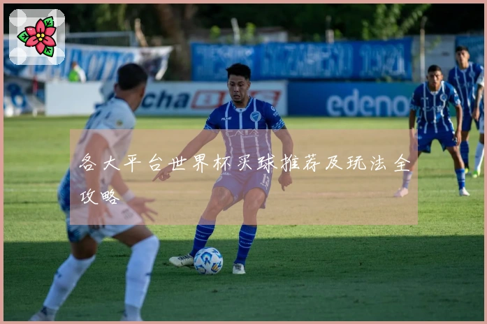 各大平台世界杯买球推荐及玩法全攻略