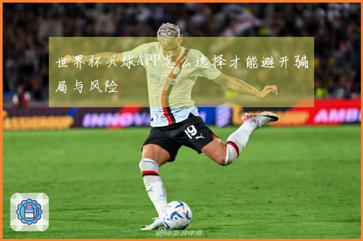 世界杯买球APP怎么选择才能避开骗局与风险