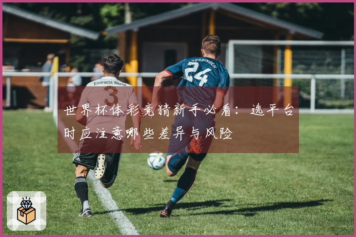 世界杯体彩竞猜新手必看：选平台时应注意哪些差异与风险