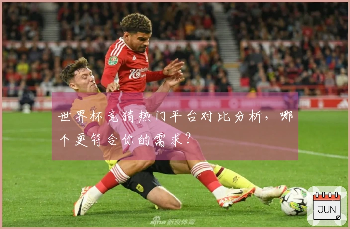 世界杯竞猜热门平台对比分析，哪个更符合你的需求？