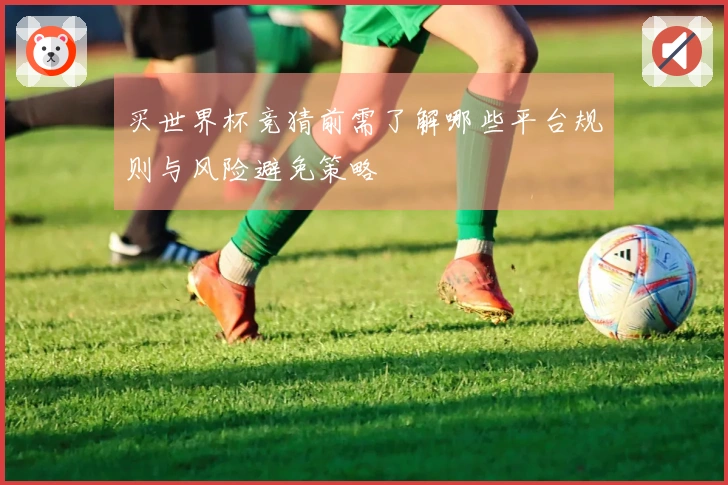 买世界杯竞猜前需了解哪些平台规则与风险避免策略