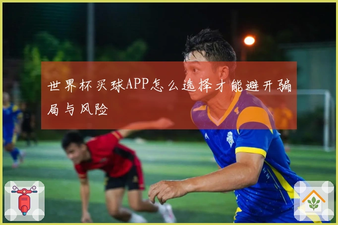 世界杯买球APP怎么选择才能避开骗局与风险