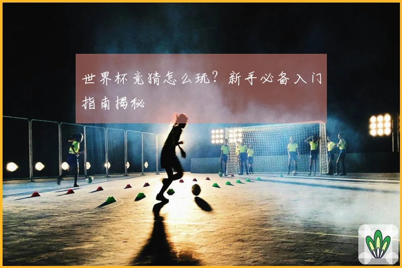 世界杯竞猜怎么玩？新手必备入门指南揭秘