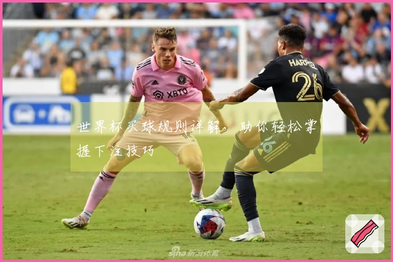 世界杯买球规则详解，助你轻松掌握下注技巧
