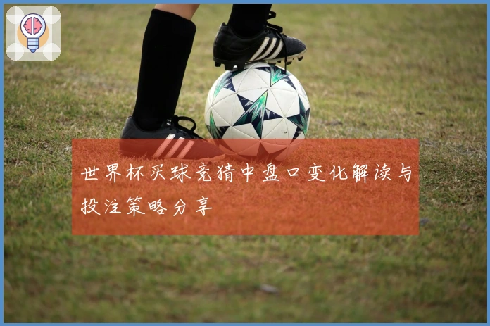 世界杯买球竞猜中盘口变化解读与投注策略分享