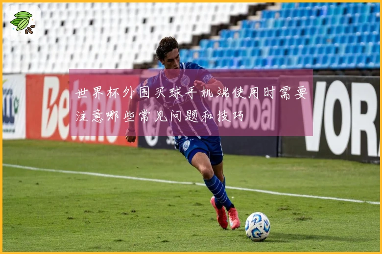 世界杯外围买球手机端使用时需要注意哪些常见问题和技巧