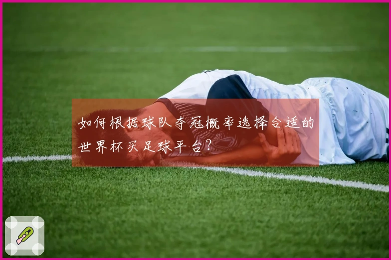 如何根据球队夺冠概率选择合适的世界杯买足球平台？