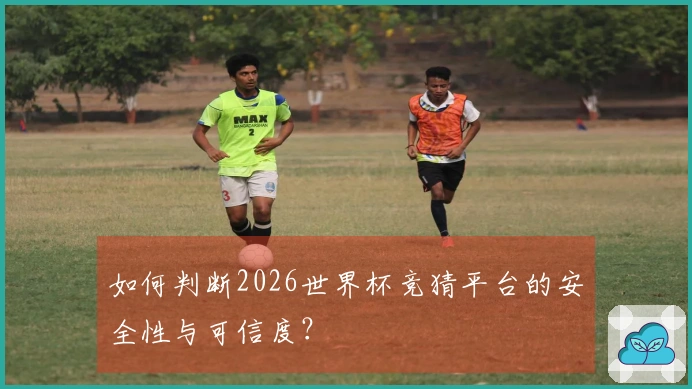 如何判断2026世界杯竞猜平台的安全性与可信度？