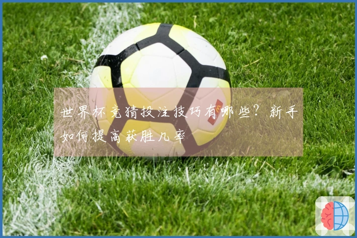 世界杯竞猜投注技巧有哪些？新手如何提高获胜几率