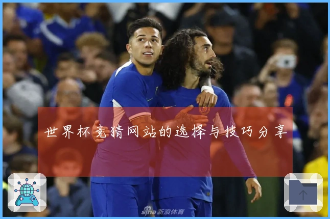 世界杯竞猜网站的选择与技巧分享